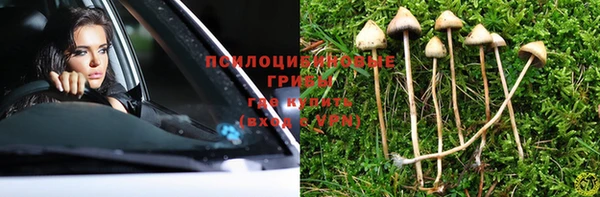 винт Баксан
