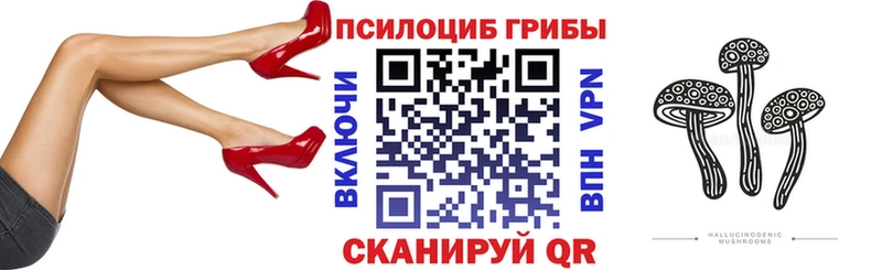 Псилоцибиновые грибы мицелий  Пересвет 